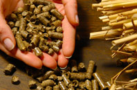free Pinvin biomass boiler quotes